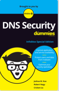 DNS Security for Dummies
