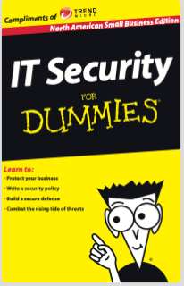 IT Security for Dummies